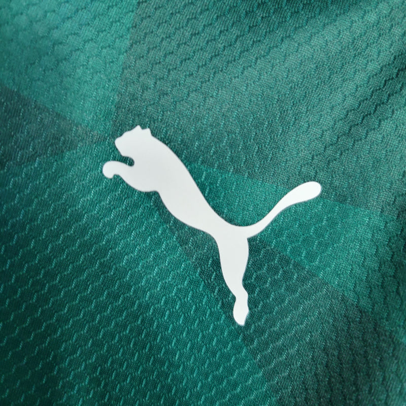 camisa-palmeiras-home-i-1-verde-crefisa-puma-23-24-neymar-messi-cr7-futebol 