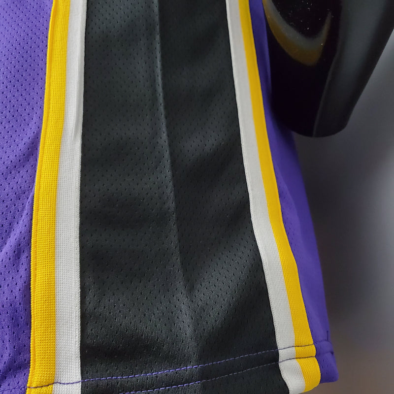 Camisa Los Angeles Lakers NBA - Jordan Purple - James 6
